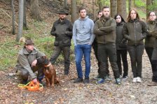 Hundepräsentation 2020